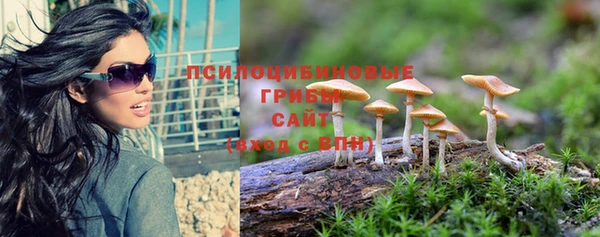 стафф Медвежьегорск
