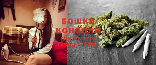 крисы Медногорск