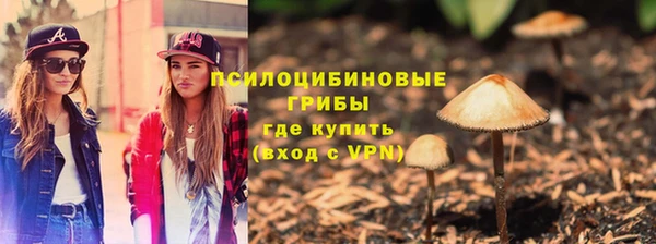 герыч Ельня