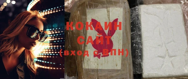 гашик Горняк